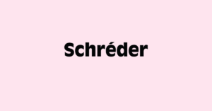 Customer case: Schréder Group